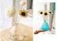 Colored Decorative Glass Vases , Large Clear Glass Vase OEM Service