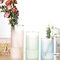 Fresh Dried Flower Hand Blown Decorative Glass Vases 25cm Height