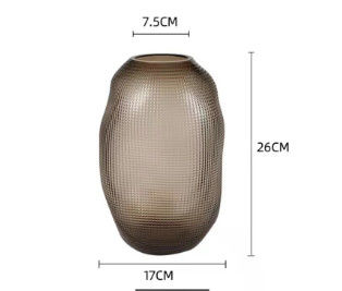 H26cm Modern Glass Vase Home Decor Transparent Elegant Flower Display