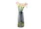 Custom Logo Flowers 10cm Decorative Clear Glass Vases