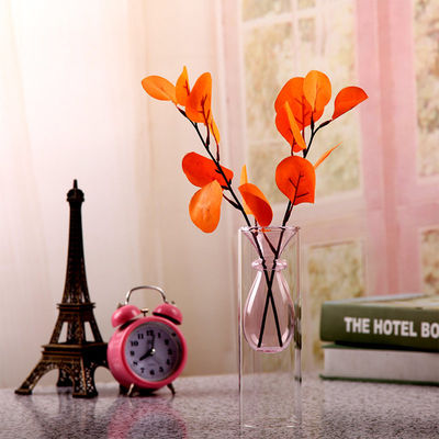 Creative Artistic Double Height Borosilicate Glass Vases