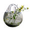 Transparent Custom Hemispherical Glass Flowerpot