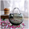 Transparent Custom Hemispherical Glass Flowerpot