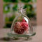 SGS Wedding Angelic Transparent Candle Glass Cover