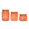 Tea Round Multi Colored Borosilicate Glass Storage Jars
