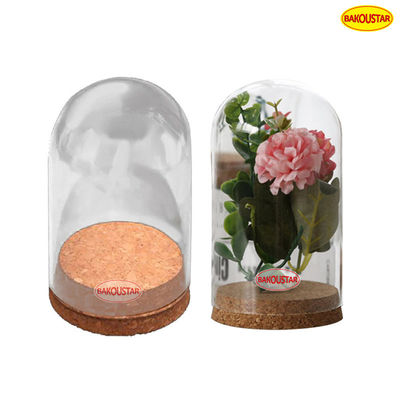 Hand Blown Borosilicate Eternal Life Flower Glass Cover
