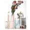 Fresh Dried Flower Hand Blown Decorative Glass Vases 25cm Height